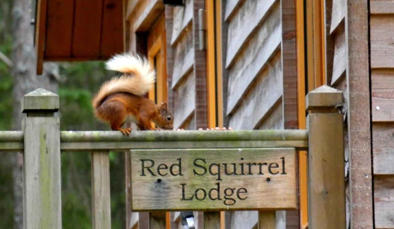 Cairngorm Lodges Aboyne Exterior photo